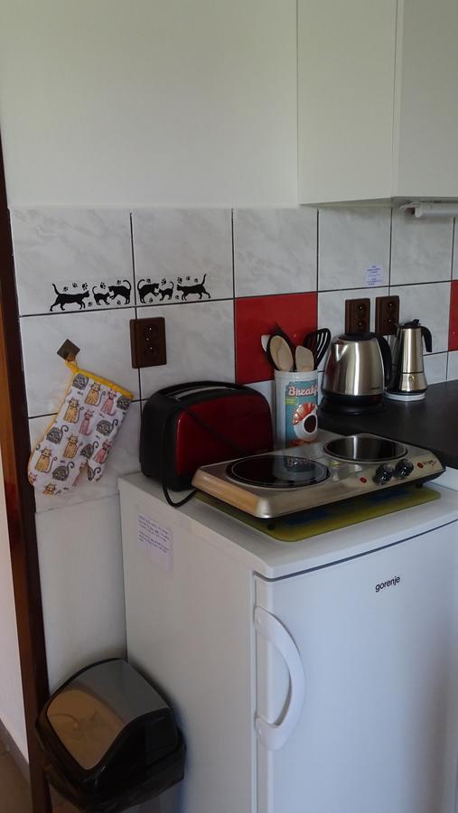 Apartment U Kocky *